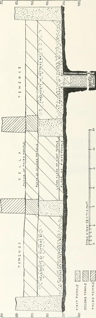 An illustration from Naukratis, 1886, leaf 104