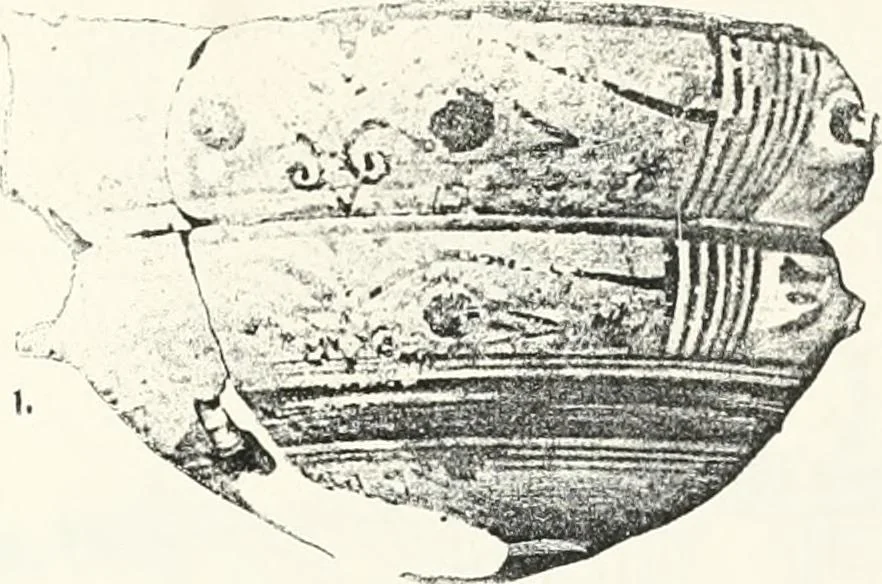 An illustration from Naukratis, 1886, leaf 112