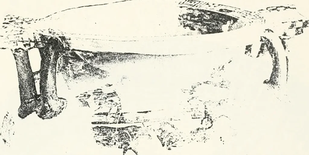 An illustration from Naukratis, 1886, leaf 120