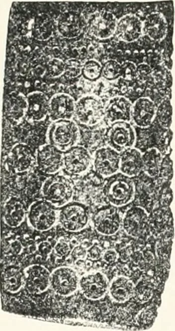 An illustration from Naukratis, 1886, leaf 132
