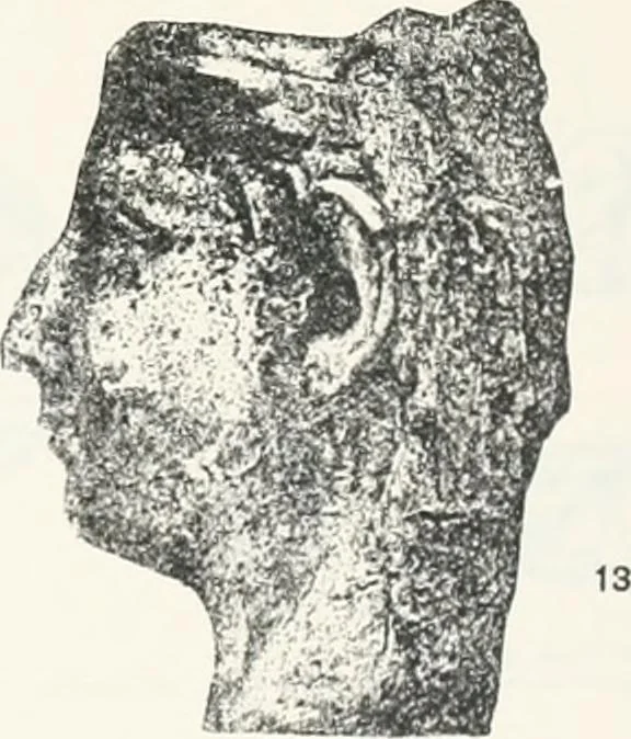 An illustration from Naukratis, 1886, leaf 132