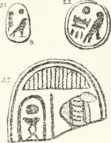 An illustration from Naukratis, 1886, leaf 134