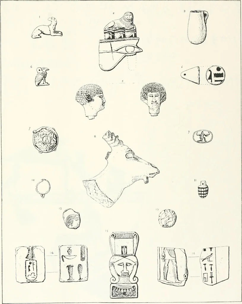 An illustration from Naukratis, 1886, leaf 136