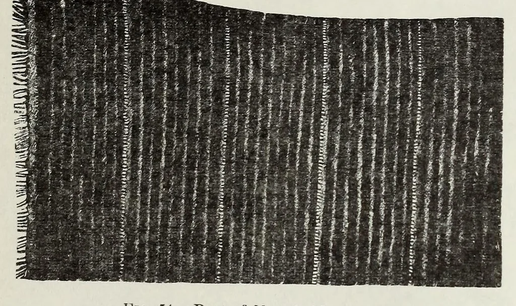 An illustration from Navajo weavers, 1884, leaf 27