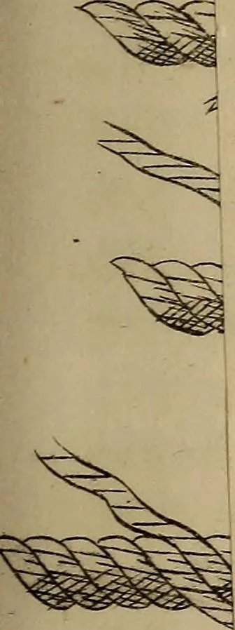 An illustration from The naval apprentice's kedge anchor;, 1841, leaf 48