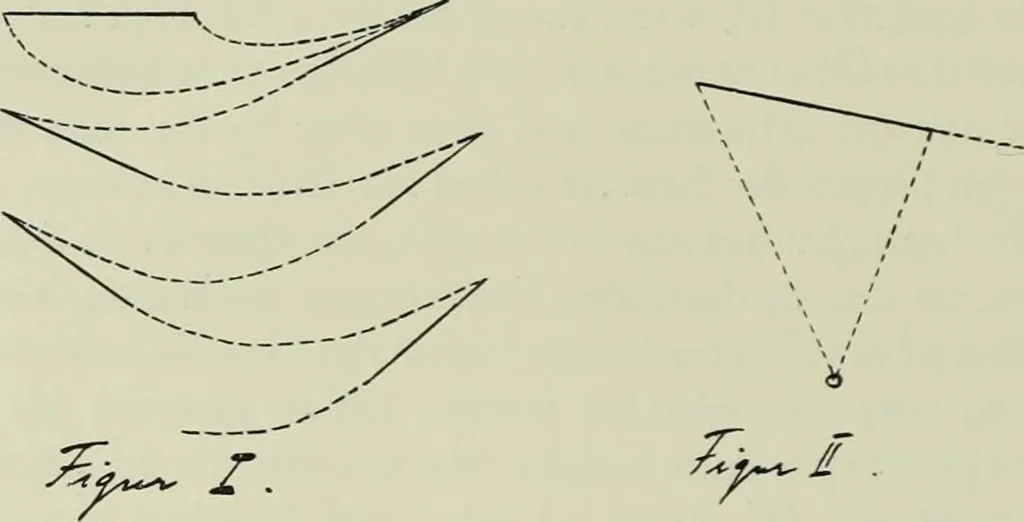 An illustration from Neben meiner Kunst : Flugstudien, Briefe und Persönliches, 1909, leaf 155