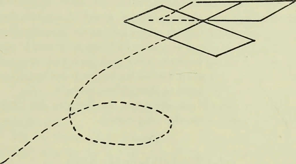An illustration from Neben meiner Kunst : Flugstudien, Briefe und Persönliches, 1909, leaf 176