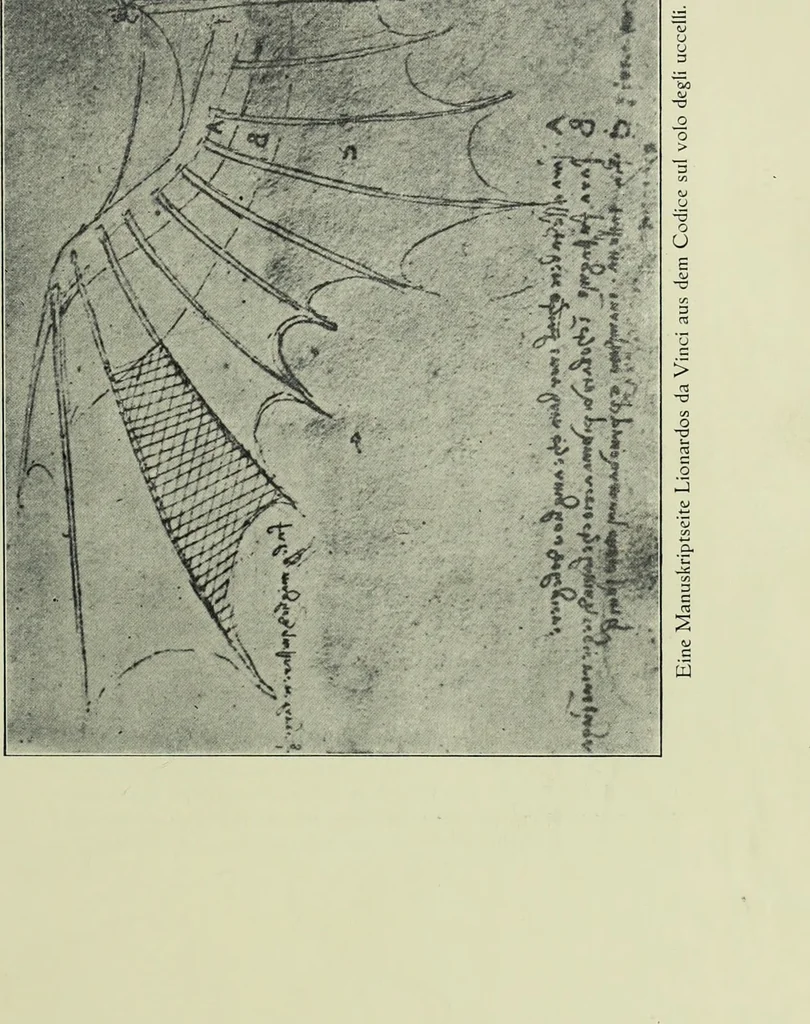 An illustration from Neben meiner Kunst : Flugstudien, Briefe und Persönliches, 1909, leaf 36