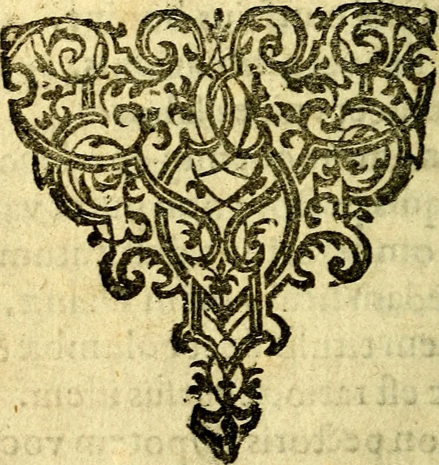 An illustration from Nebulo nebulonum, hoc est, Locoseria modernae nequitiae censura : qua hominum sceleratorum fraudes, doli ac versutiae aeri aëriq[ue] exponuntur pùblice, 1620, leaf 11