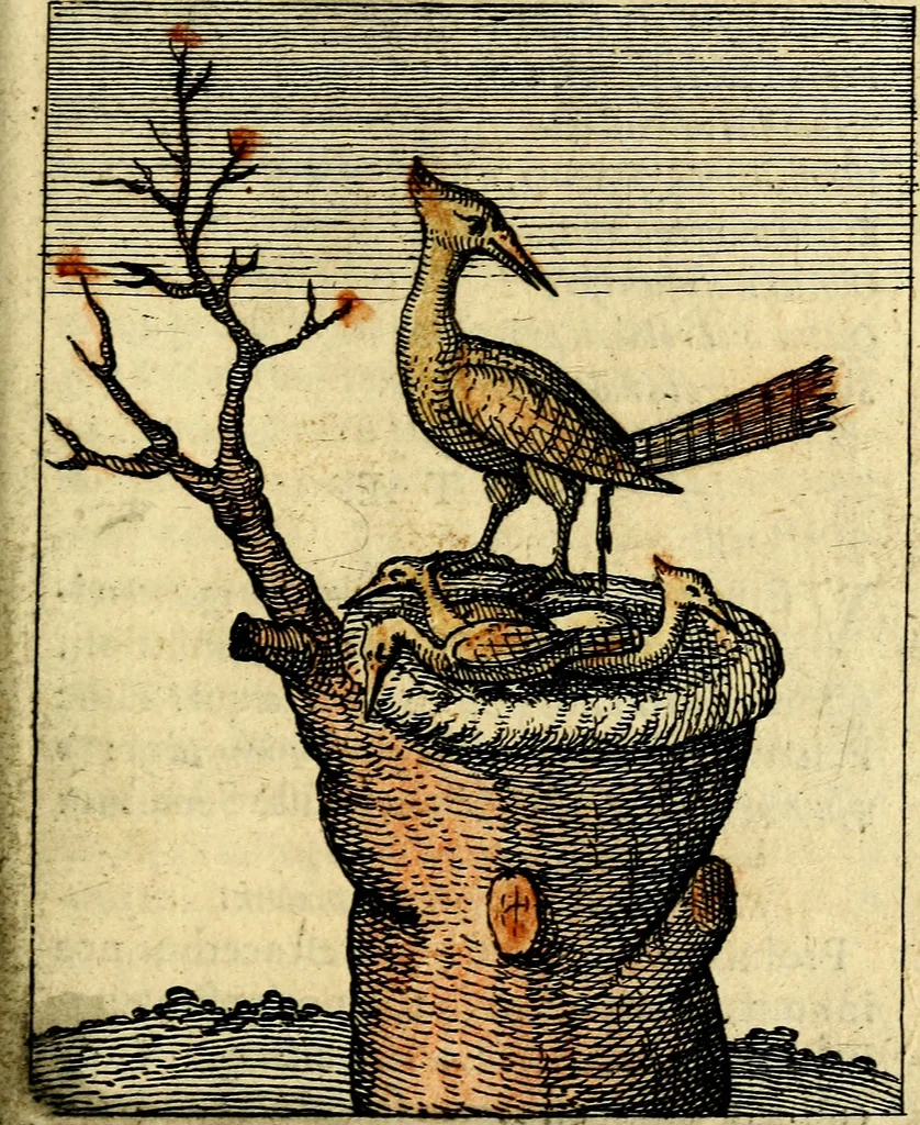 An illustration from Nebulo nebulonum, hoc est, Locoseria modernae nequitiae censura : qua hominum sceleratorum fraudes, doli ac versutiae aeri aëriq[ue] exponuntur pùblice, 1620, leaf 164
