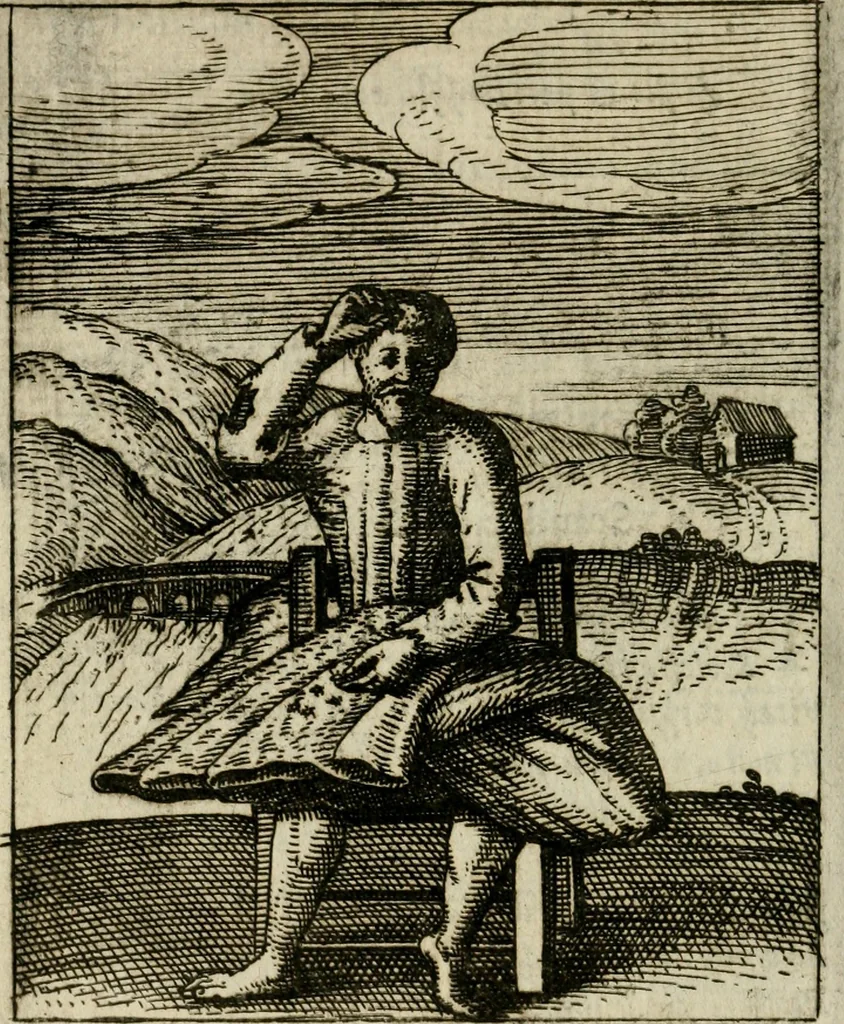An illustration from Nebulo nebulonum, hoc est, Iocoseria modernae nequitiae censura : qua hominum sceleratorum fraudes, doli ac versutiae aeri aëriq[ue] exponuntur pùblice, 1620, leaf 113