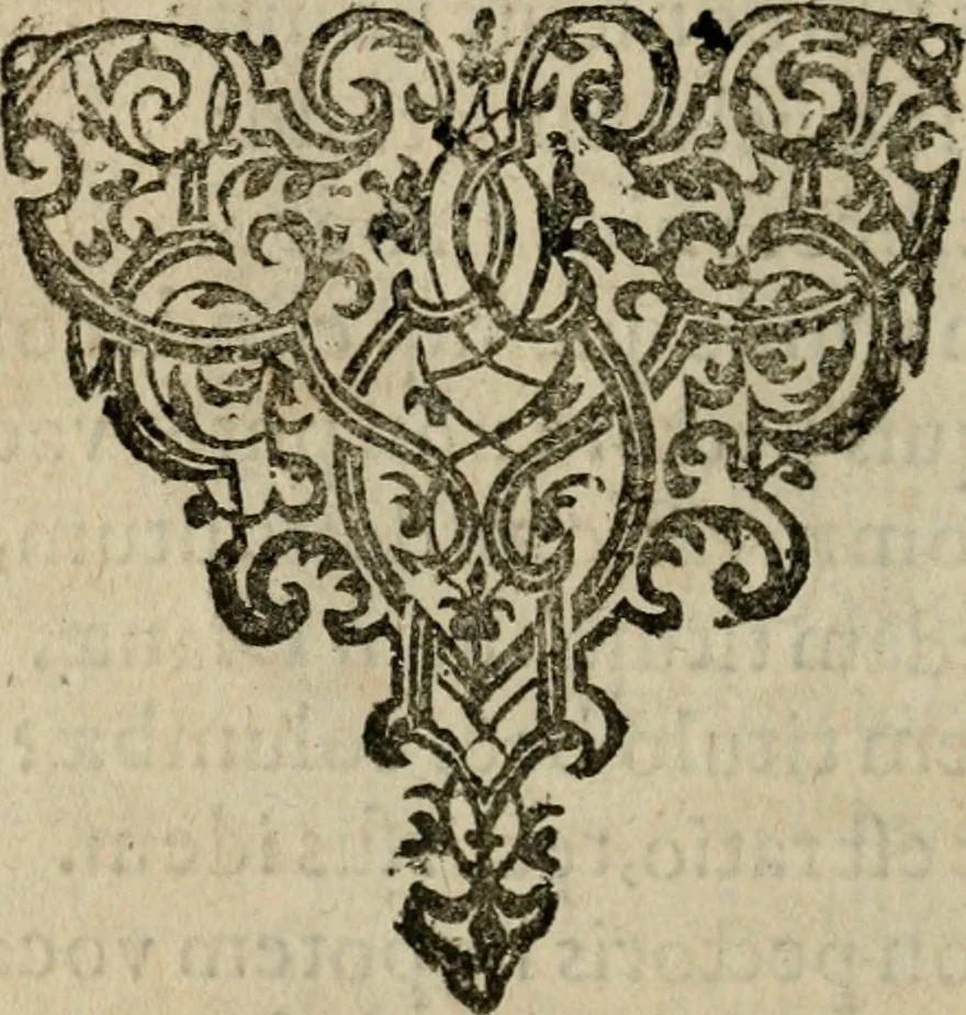 An illustration from Nebulo nebulonum, hoc est, Iocoseria modernae nequitiae censura : qua hominum sceleratorum fraudes, doli ac versutiae aeri aëriq[ue] exponuntur pùblice, 1620, leaf 13