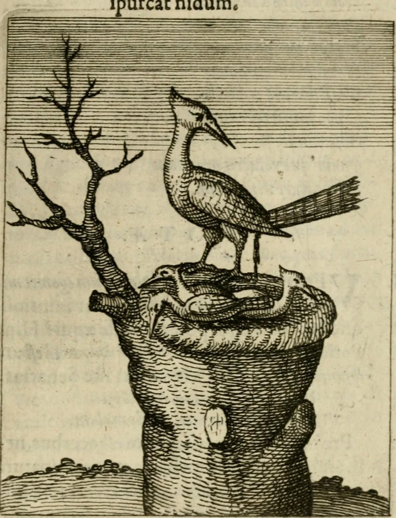 An illustration from Nebulo nebulonum, hoc est, Iocoseria modernae nequitiae censura : qua hominum sceleratorum fraudes, doli ac versutiae aeri aëriq[ue] exponuntur pùblice, 1620, leaf 166