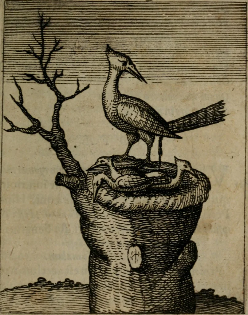 An illustration from Nebulo nebulonum, hoc est, Jocoseria nequitiae censura : qua hominum scelestorum doli, fraudes, fallaciae, & mores versuti vivis coloribus depinguntur, aeriq[ue] incisi publico aspectui exponuntur, 1663, leaf 164