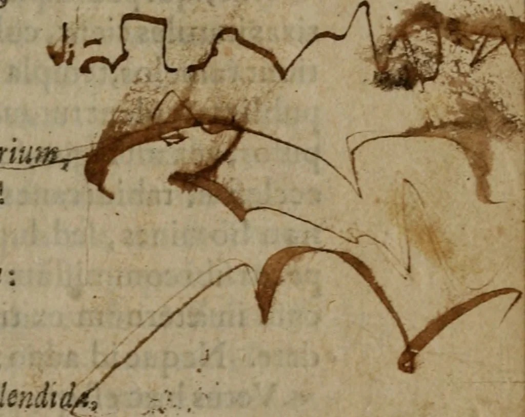 An illustration from Nebulo nebulonum, hoc est, Jocoseria nequitiae censura : qua hominum scelestorum doli, fraudes, fallaciae, & mores versuti vivis coloribus depinguntur, aeriq[ue] incisi publico aspectui exponuntur, 1663, leaf 22