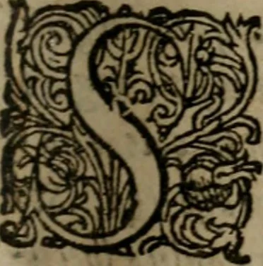 An illustration from Nebulo nebulonum, hoc est, Jocoseria nequitiae censura : qua hominum scelestorum doli, fraudes, fallaciae, & mores versuti vivis coloribus depinguntur, aeriq[ue] incisi publico aspectui exponuntur, 1663, leaf 6