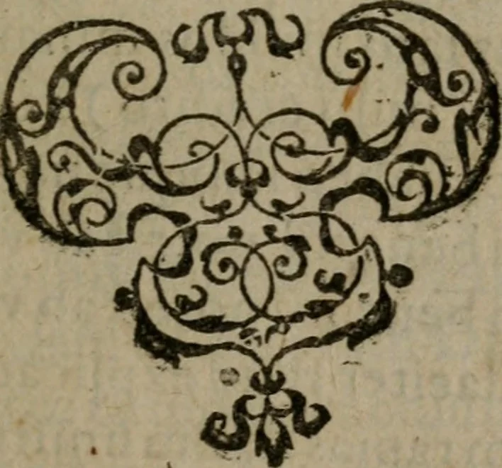 An illustration from Nebulo nebulonum, hoc est, Jocoseria nequitiae censura : qua hominum scelestorum doli, fraudes, fallaciae, & mores versuti vivis coloribus depinguntur, aeriq[ue] incisi publico aspectui exponuntur, 1663, leaf 8