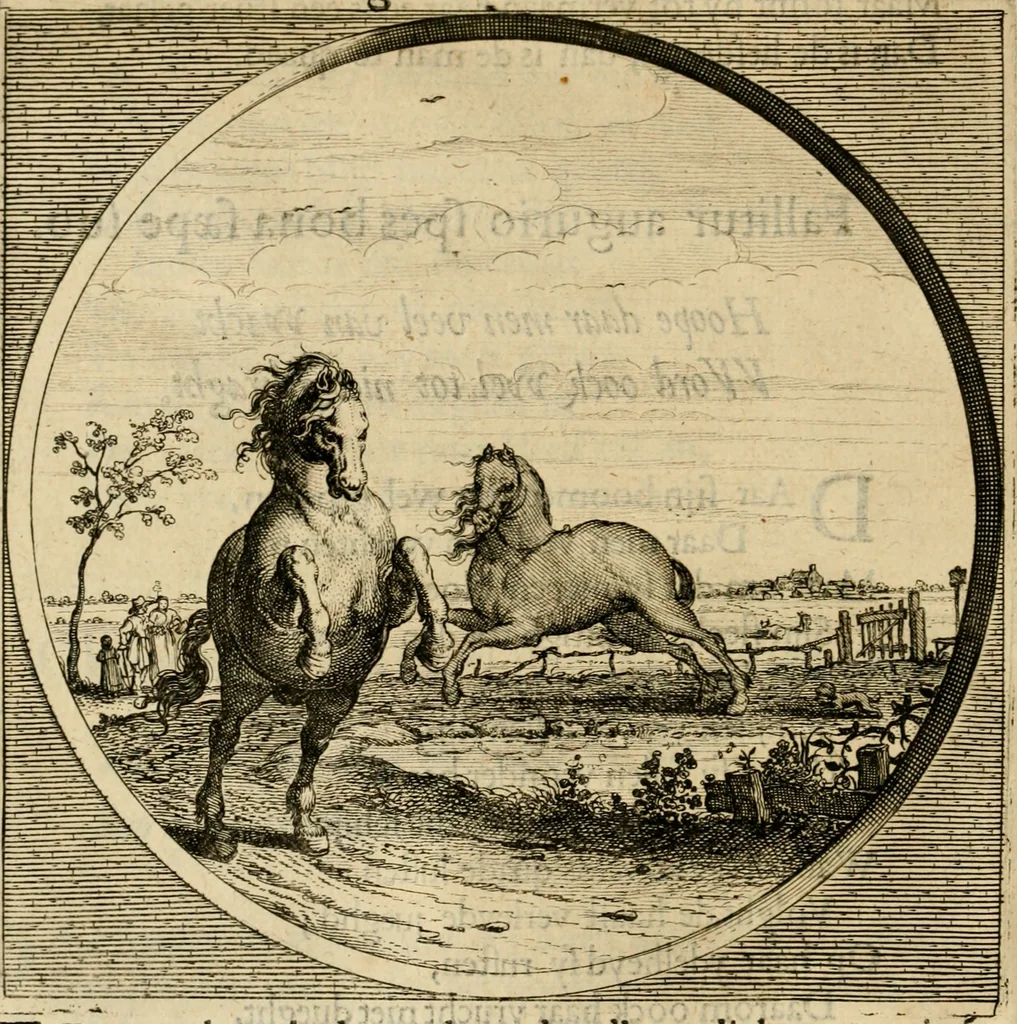 An illustration from Nederduytsche poëmata, 1635, leaf 247