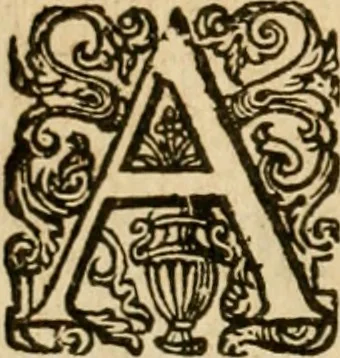 An illustration from Nederduytsche poëmata, 1635, leaf 29