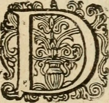 An illustration from Nederduytsche poëmata, 1635, leaf 358