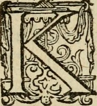 An illustration from Nederduytsche poëmata, 1635, leaf 44