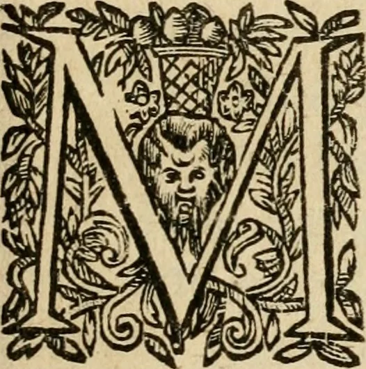An illustration from Nederduytsche poëmata, 1635, leaf 48