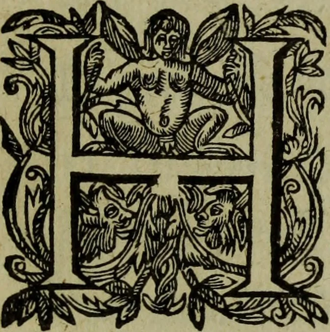 An illustration from Nederduytsche poëmata, 1635, leaf 12