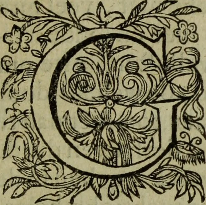An illustration from Nederduytsche poëmata, 1635, leaf 14