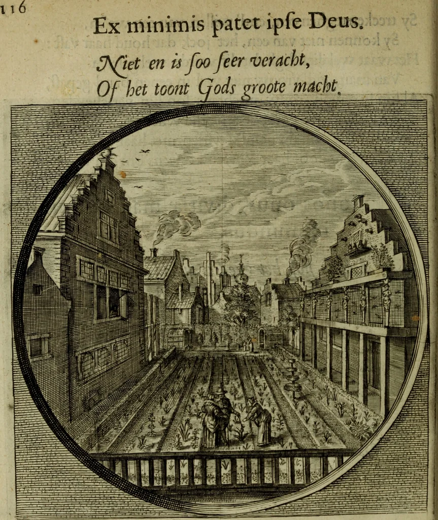 An illustration from Nederduytsche poëmata, 1635, leaf 159