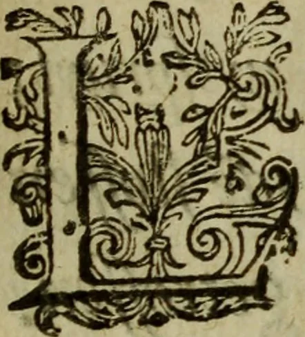 An illustration from Nederduytsche poëmata, 1635, leaf 23