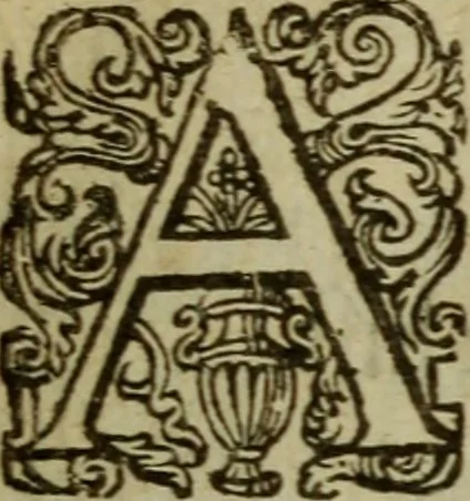 An illustration from Nederduytsche poëmata, 1635, leaf 25
