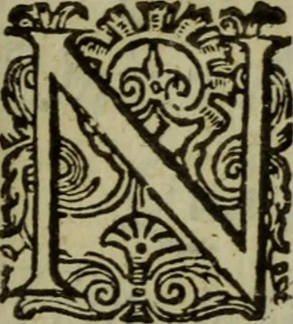 An illustration from Nederduytsche poëmata, 1635, leaf 304