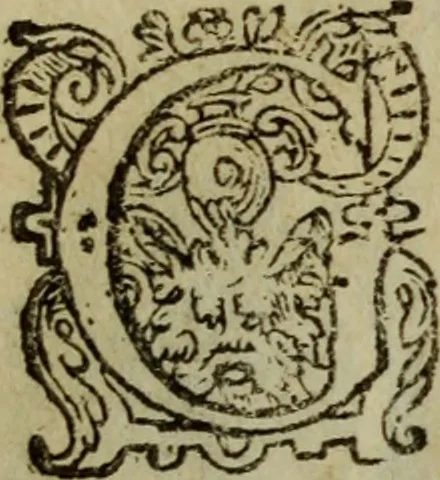 An illustration from Nederduytsche poëmata, 1635, leaf 35