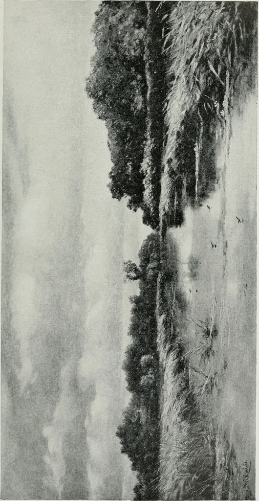 An illustration from Nederlandsche schilderkunst in beeld, 1900, leaf 266