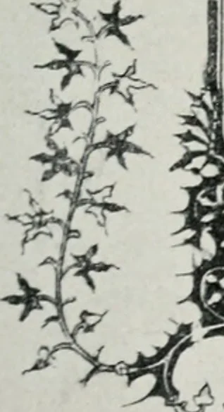 An illustration from Nederlandsche schilderkunst in beeld, 1900, leaf 44