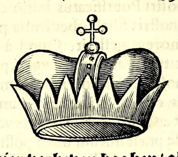An illustration from Nederlandtsche herault, of, Adelik toneel zijnde een historische beschrijvinge, van allerley trappen van adeldom : alsmede van alderhande wapen-schilden, in koninckrijcken, gemeene-besten, steden en volkeren, van oude tijden af, tot dese eeuw toe in gebruyk geweest zijnde, 1672, leaf 117