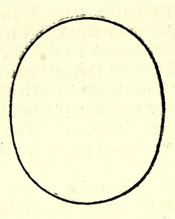 An illustration from Nederlandtsche herault, of, Adelik toneel zijnde een historische beschrijvinge, van allerley trappen van adeldom : alsmede van alderhande wapen-schilden, in koninckrijcken, gemeene-besten, steden en volkeren, van oude tijden af, tot dese eeuw toe in gebruyk geweest zijnde, 1672, leaf 311