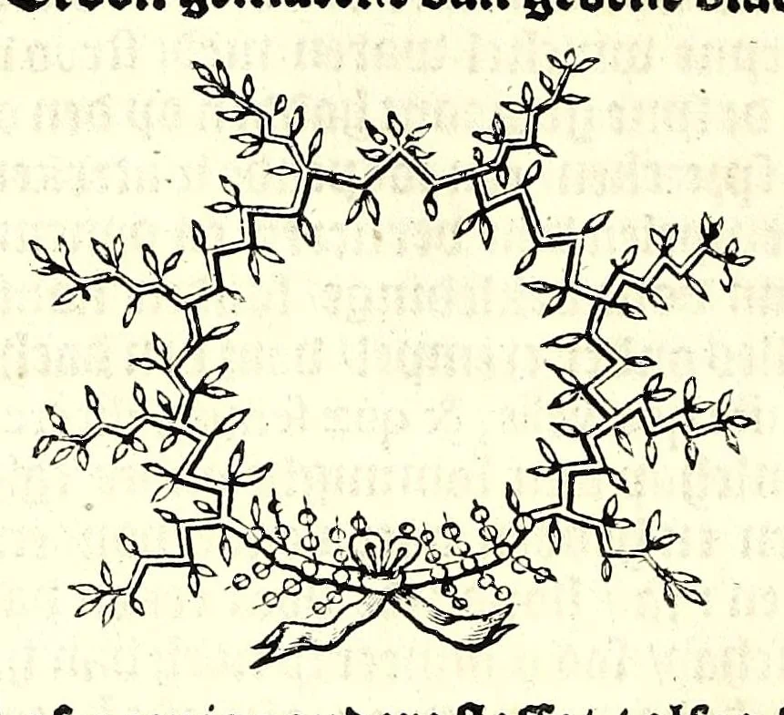 An illustration from Nederlandtsche herault, of, Adelik toneel zijnde een historische beschrijvinge, van allerley trappen van adeldom : alsmede van alderhande wapen-schilden, in koninckrijcken, gemeene-besten, steden en volkeren, van oude tijden af, tot dese eeuw toe in gebruyk geweest zijnde, 1672, leaf 48