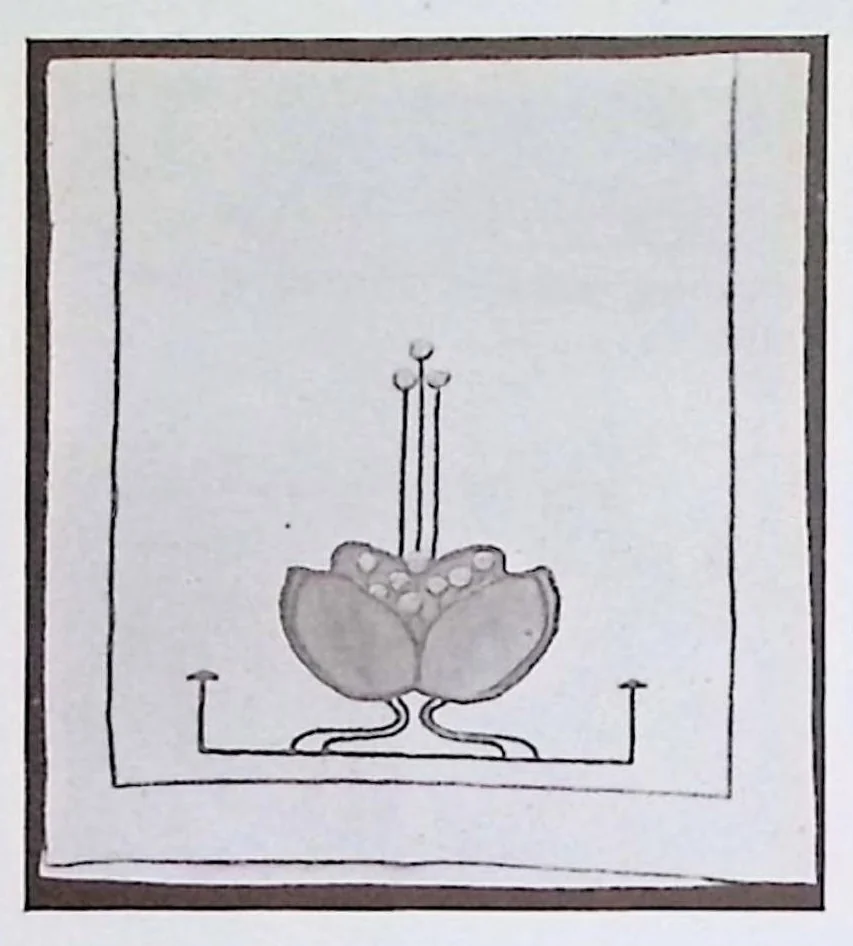 An illustration from Needle-Work From The Craftsman Workshops, 1905, leaf 27