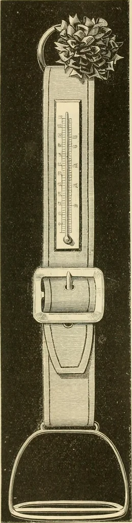 An illustration from Needle and brush:, 1889, leaf 138