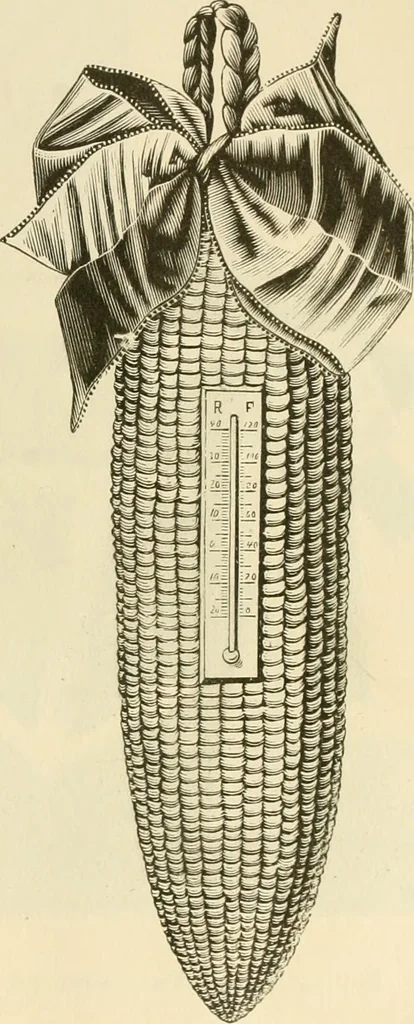 An illustration from Needle and brush:, 1889, leaf 138