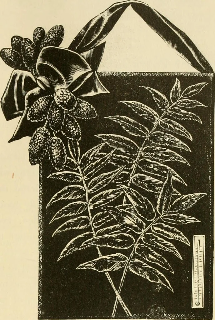An illustration from Needle and brush:, 1889, leaf 140