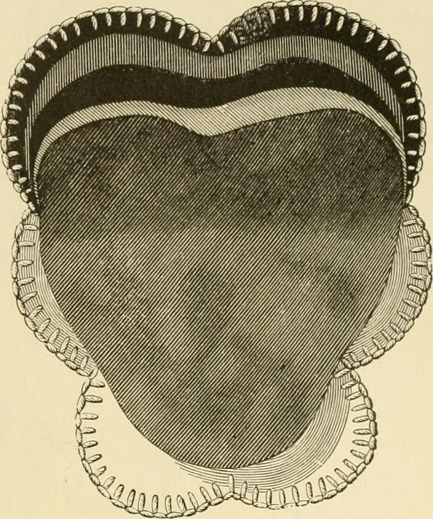 An illustration from Needle and brush:, 1889, leaf 144
