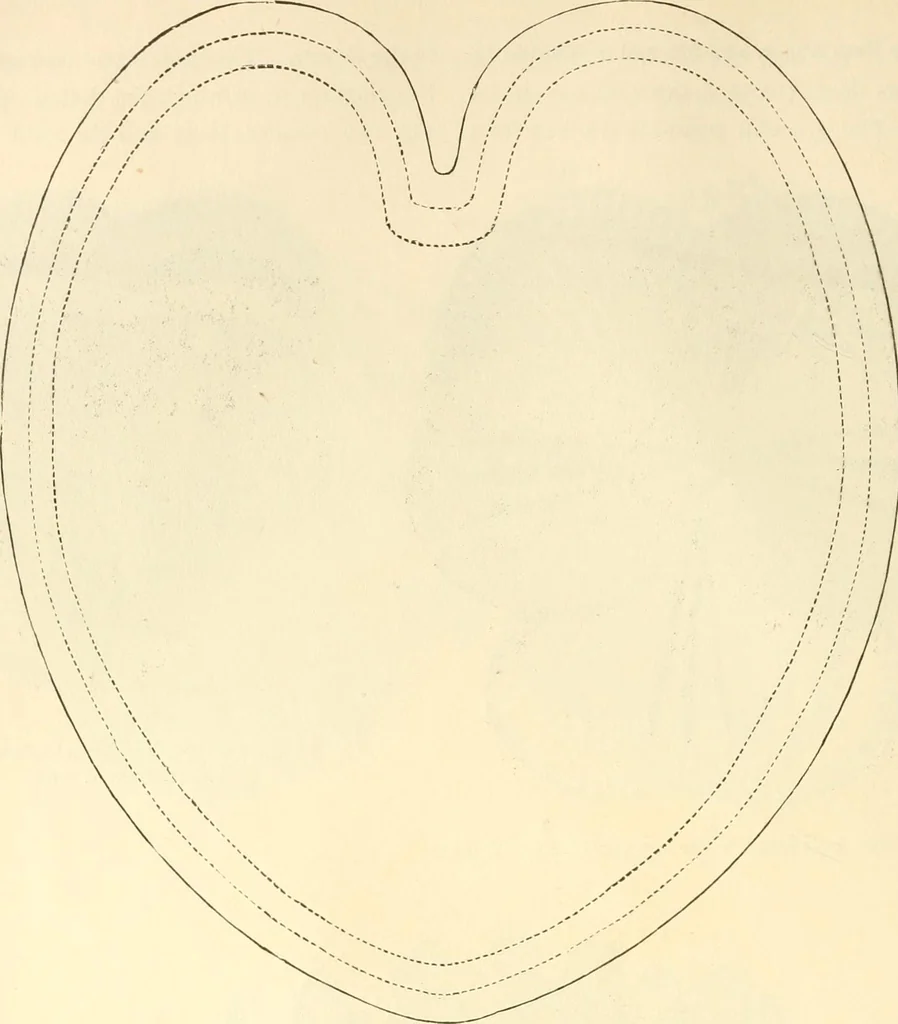 An illustration from Needle and brush:, 1889, leaf 145