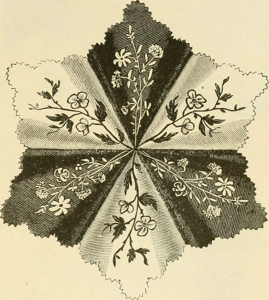 An illustration from Needle and brush:, 1889, leaf 146