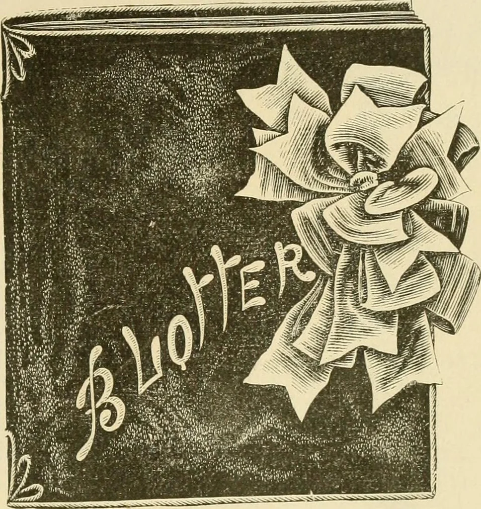An illustration from Needle and brush:, 1889, leaf 150