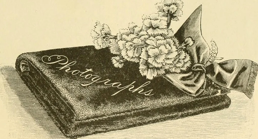 An illustration from Needle and brush:, 1889, leaf 156