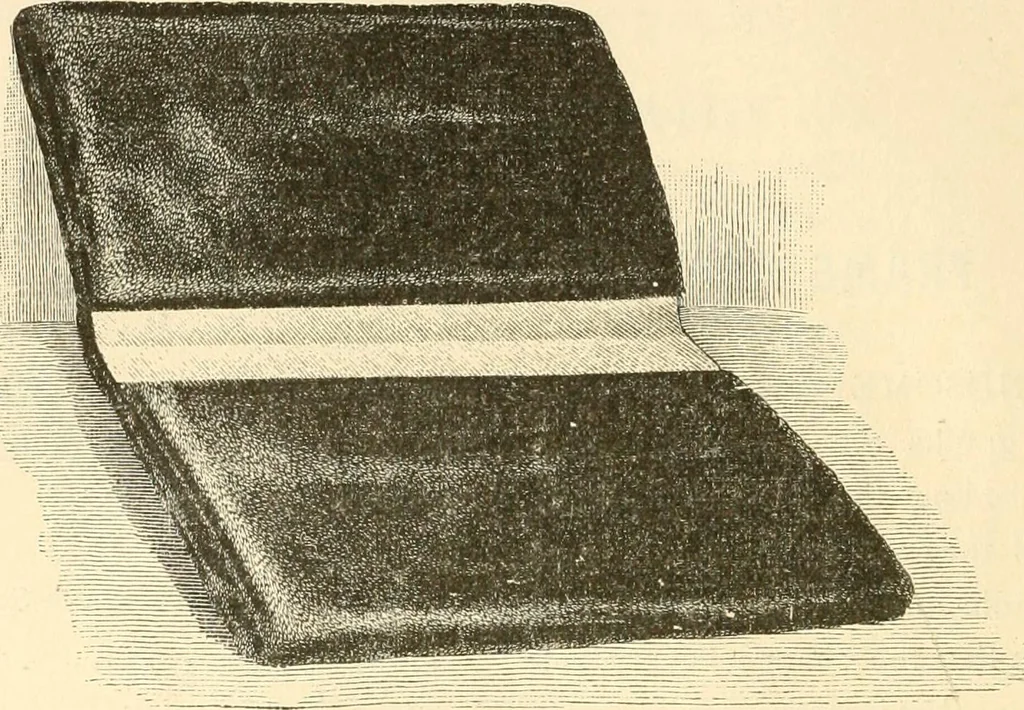 An illustration from Needle and brush:, 1889, leaf 157