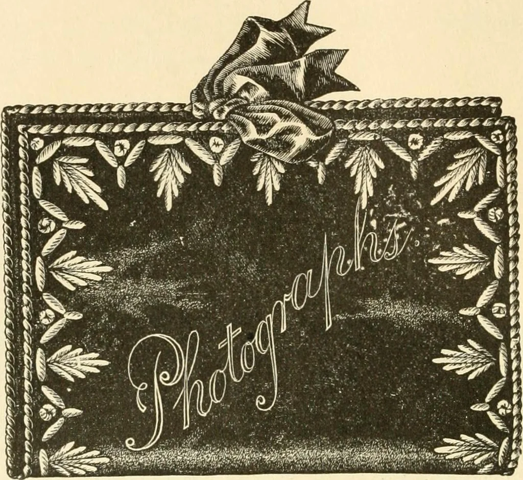 An illustration from Needle and brush:, 1889, leaf 159