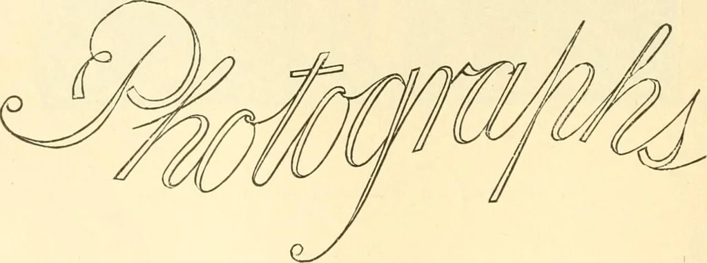 An illustration from Needle and brush:, 1889, leaf 159